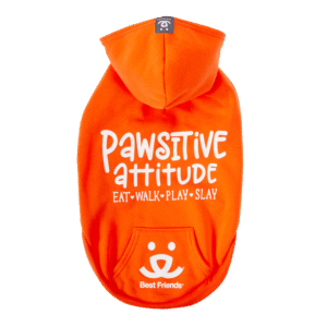Best Friends Pawsitive Attitude Dog Hoodie - Orange, Small